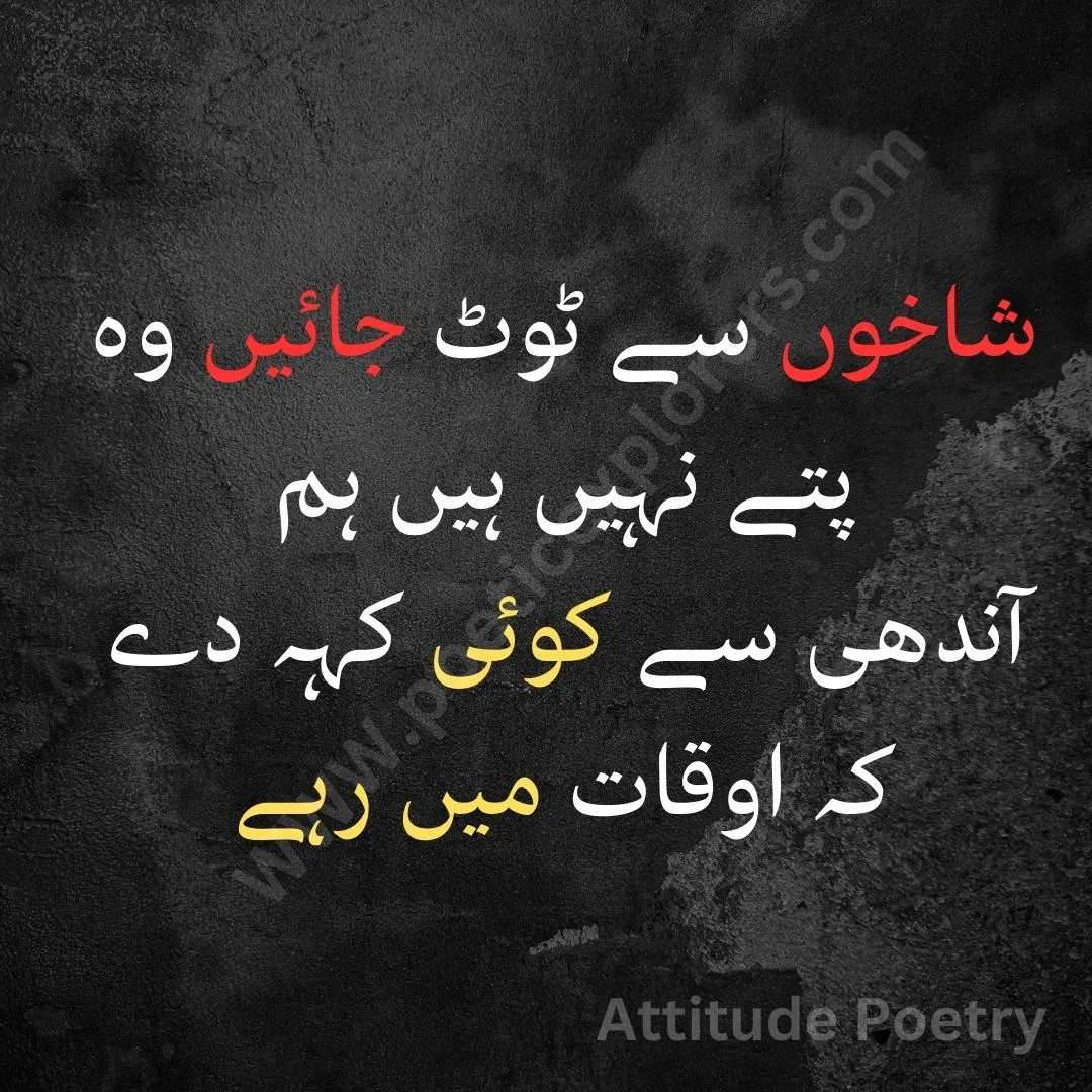 Attitude Poetry In urdu