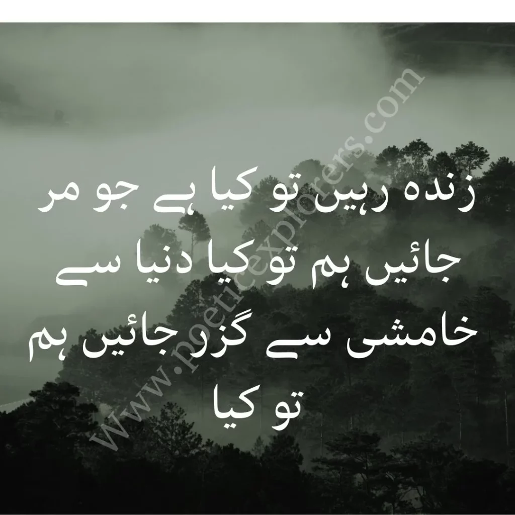 munir niazi best poetry