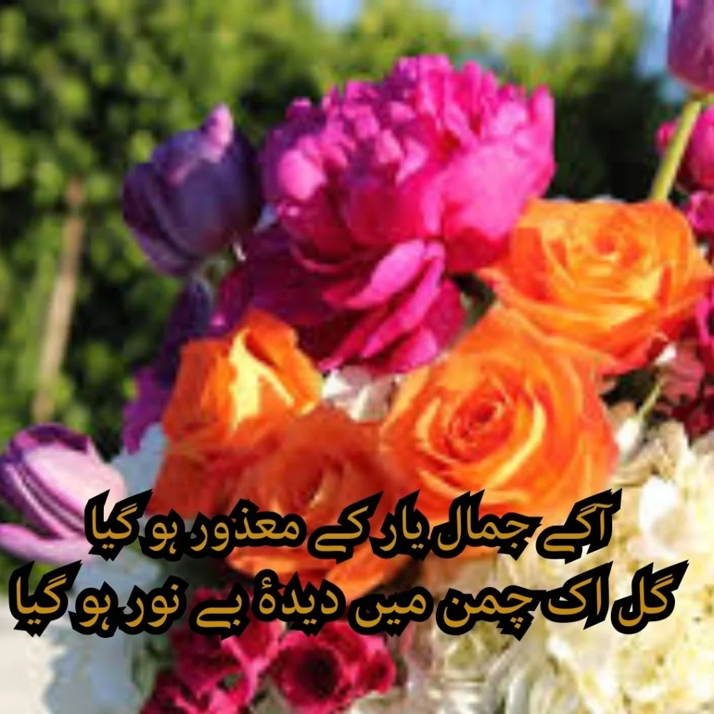 meer taqi meer poetry in urdu text 