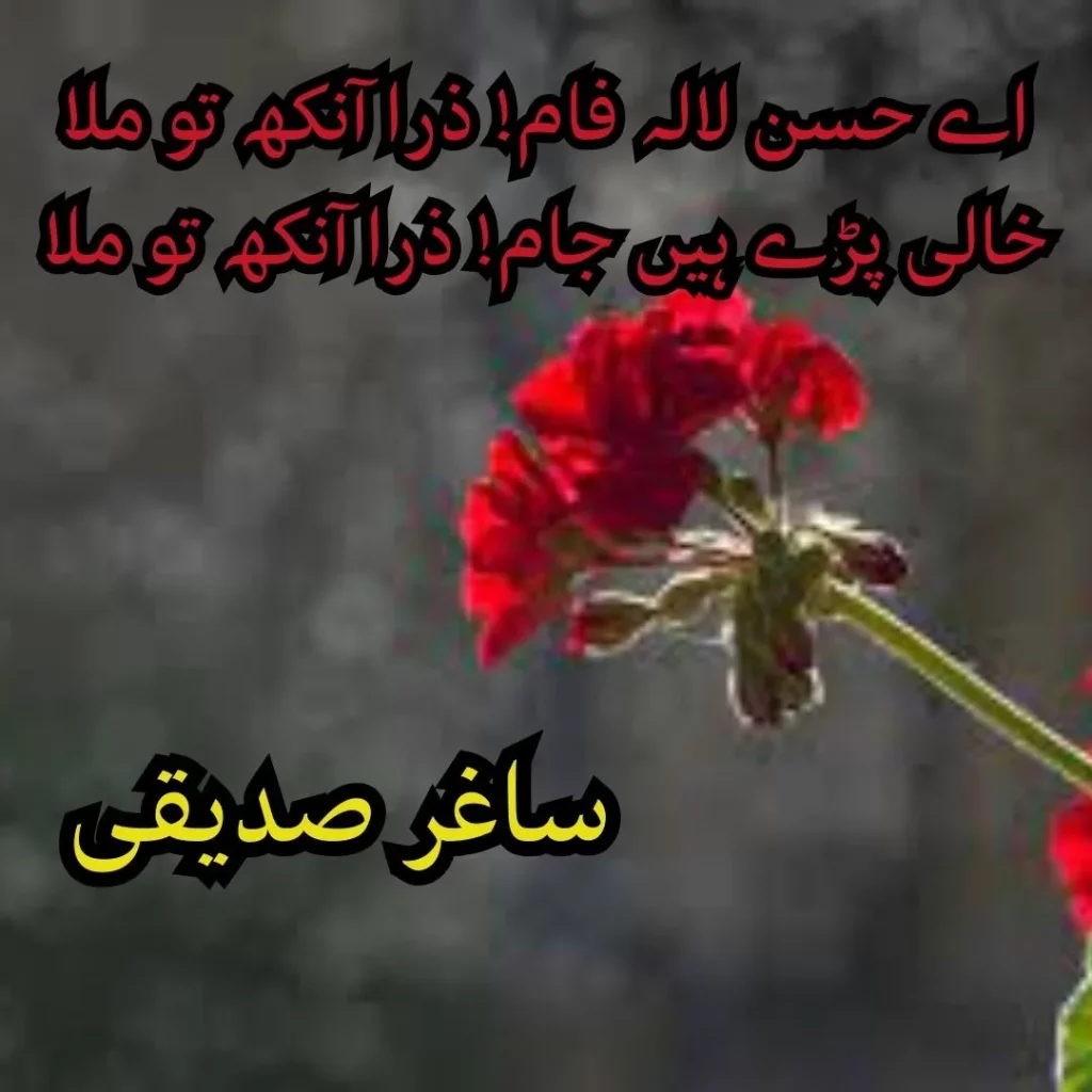 saghar siddiqui poetry