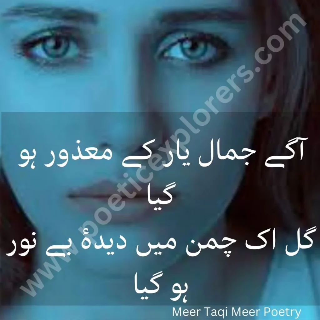 meer taqi meer poetry in urdu 2 lines