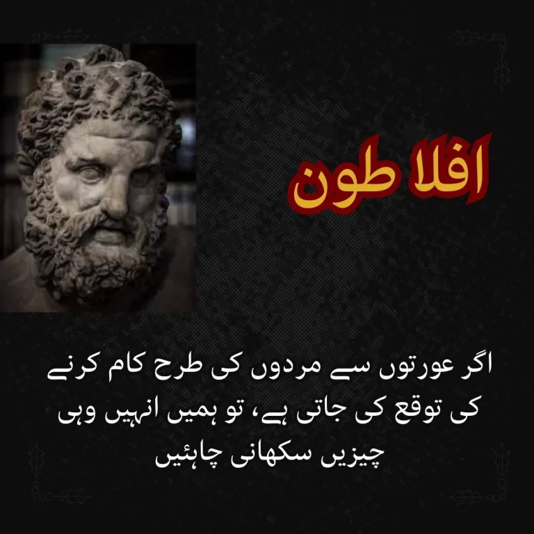 Best 40+ Aflatoon quotes in urdu | Urdu plato Quotes | Famous Aflatoon Quotes