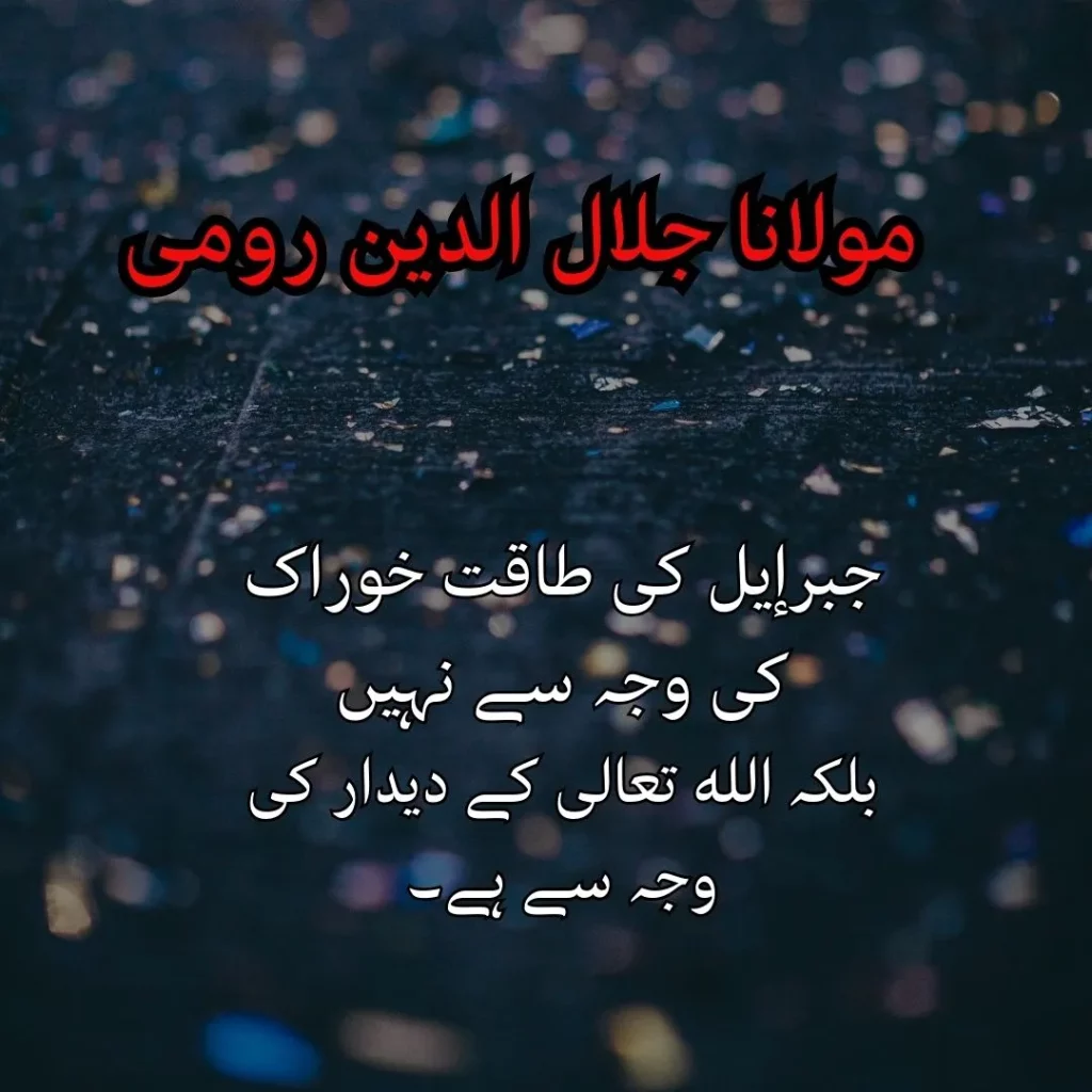 maulana rumi quotes in urdu text