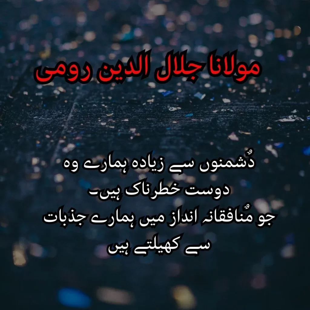 maulana rumi quotes in urdu text