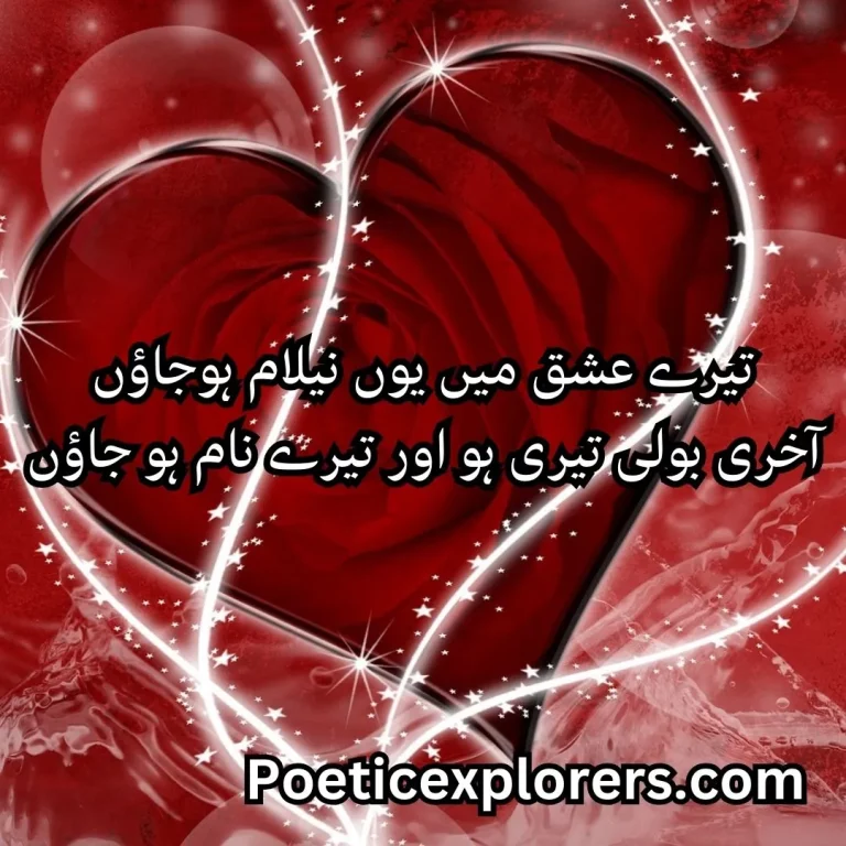 VALENTINE DAY POETRY: Best 50+ Happy Valentine Day Poetry Wishes In Urdu – Poeticexplorers