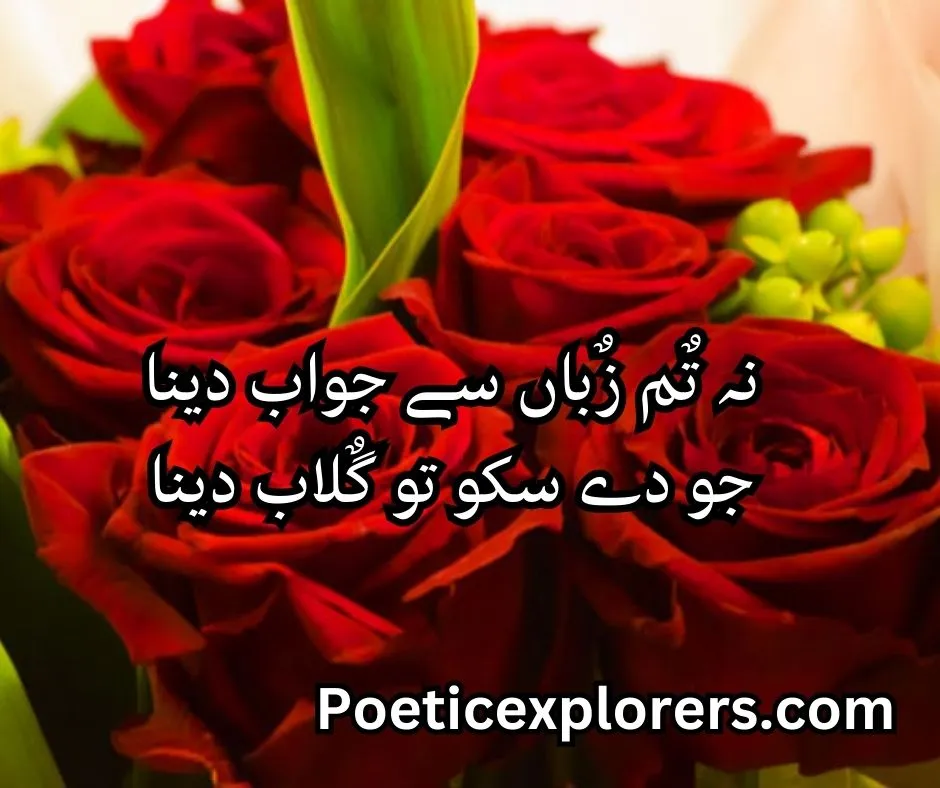 valentine day poetry in urdu