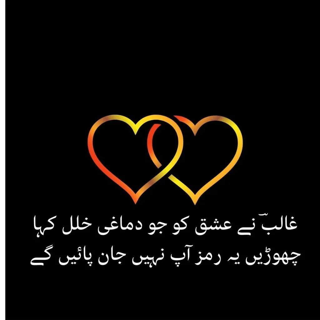 ishq poetry in urdu text